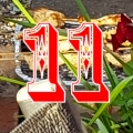 window11