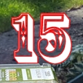 window15