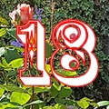 window18