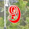 window9