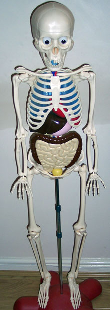 Boney.
