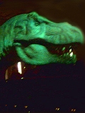 A T-Rex.
