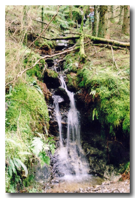 Galloway Waterfall.