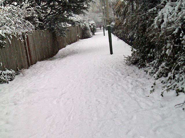 snowy lane.