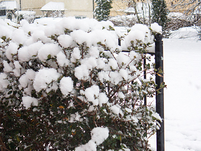More snow serious still time. More snow serious still time.