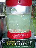 SeaMonkeys tank.