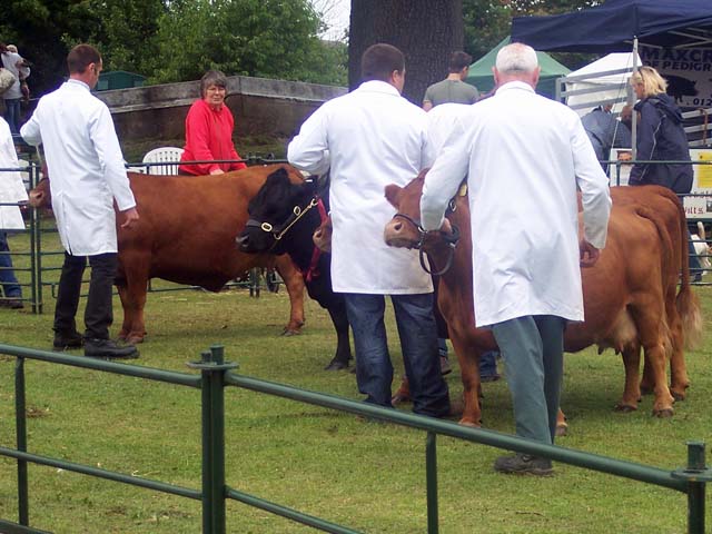 One Exhibitor at Stroud Country Show 2010.